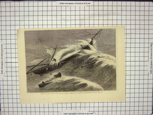 Old antique print rescue - antique,