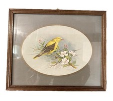 basil ede exotic bird print