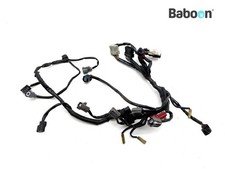 Wiring Harness (Main) Honda