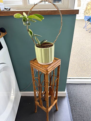 Bamboo wood plant stand - wood,