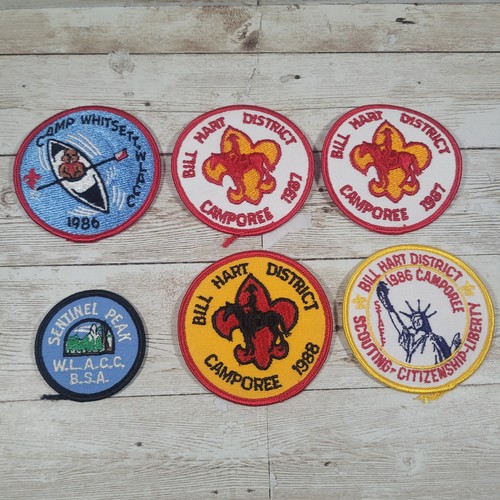 Vintage boy scout - boy,