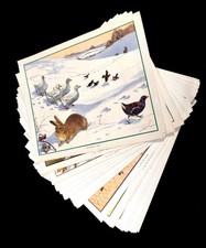 Antique Enid Blyton’s Nature Plates Eileen A. Soper Illustration Posters C.1950