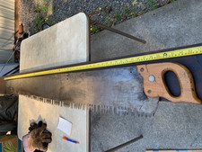 5' WARDS 84-219 LOGGERS TREE