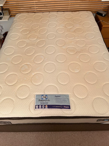 Sealy pattison posturepedic - sealy,