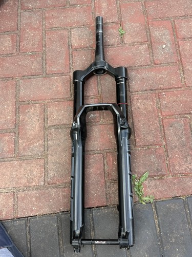 Rock shox zeb - 170mm, 29er