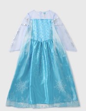 Disney Frozen Elsa Costume -