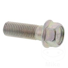 Original Brake Disc Bolt M10