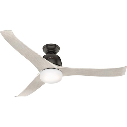 Hunter ceiling fan with remote - with,