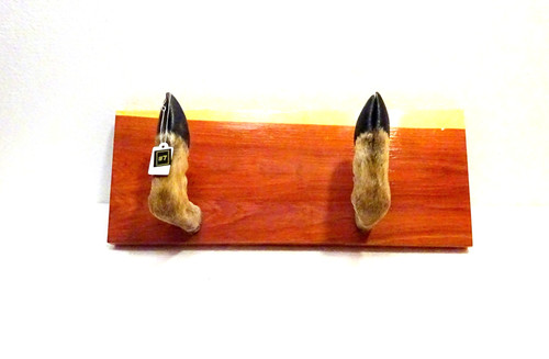 Deer hoof gun rack hat - hoof,