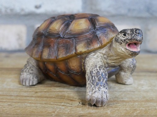 Lifelike resin tortoise - lifelike, garden
