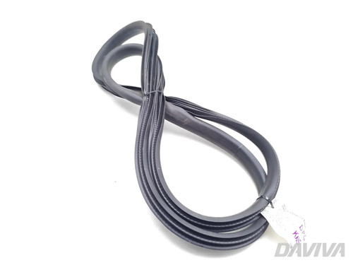 Ford fiesta rubber - ford,