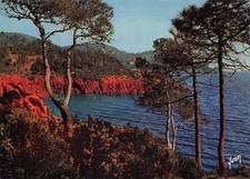 83-MASSIF DE L ESTEREL-N�