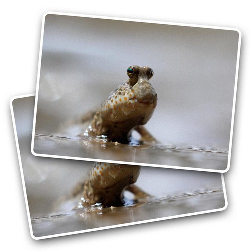 Vinyl sticker cute - 2x,
