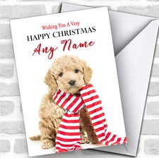 Cockerpoo Dog Puppy Animal