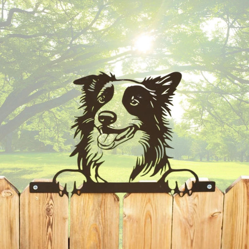 Border collie sheep - border, metal