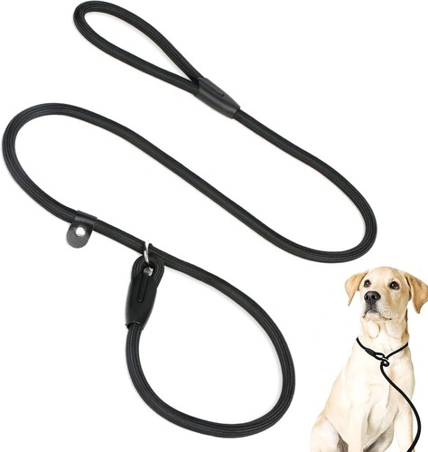Dog slip lead - lead, durable