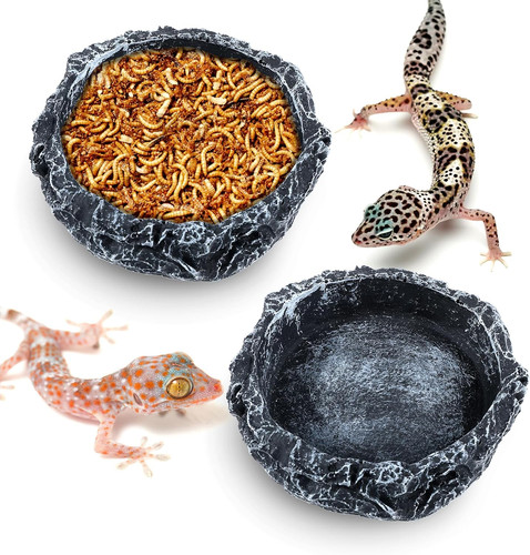 Pack reptile water dish - 2,