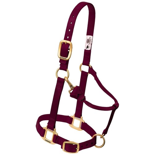 Large burgundy horse harness - large,