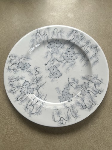 Graingers worcester grey moss - worcester,