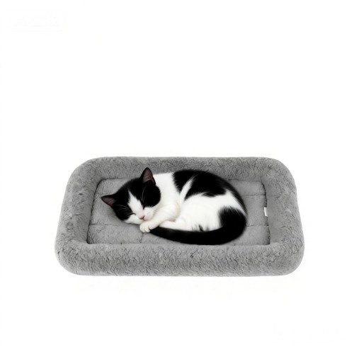 Petleso small cat - cat, for