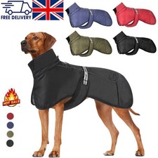 Large dog clothes - dog,