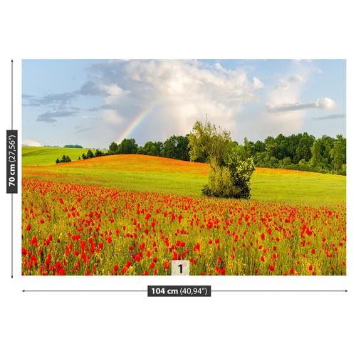 Photo wallpaper wall - photo,