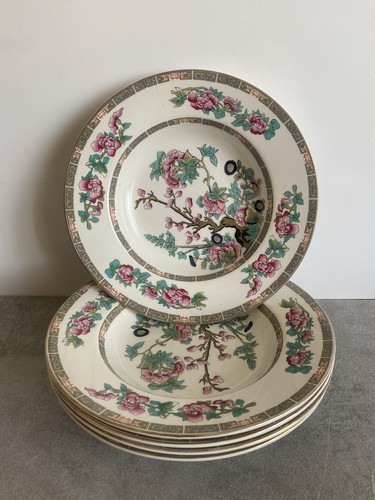 Maddock indian tree rimmed - indian,