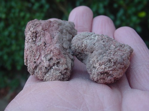 Hollow chalcedony variety - chalcedony,