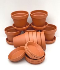 Classic Terracotta Plants Pots