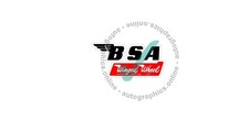 Bsa winged wheel clear backed - bsa,