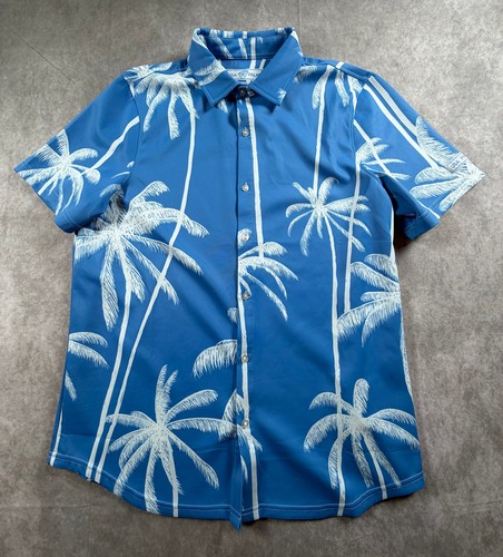 King palm blue tree - palm,