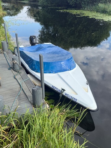 Fibreglass boat with - fibreglass, 13’