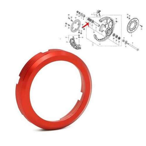 Rear wheel bearing retainer - rear,