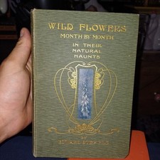 Wild Flowers Month By Month In