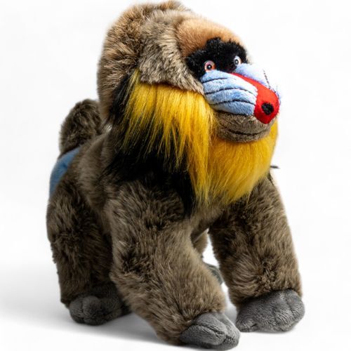 Mandrill monkey approx cm - monkey, 28