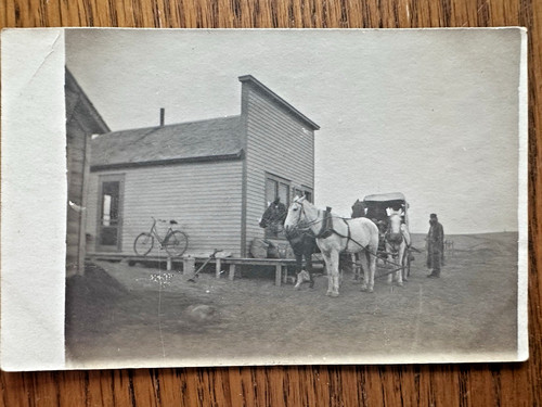 Horse drawn buggy carriage - horse,