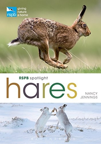 Rspb spotlight hares - spotlight, hares,nancy