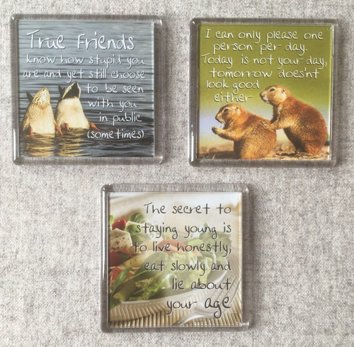 Fridge magnets history - magnets, &