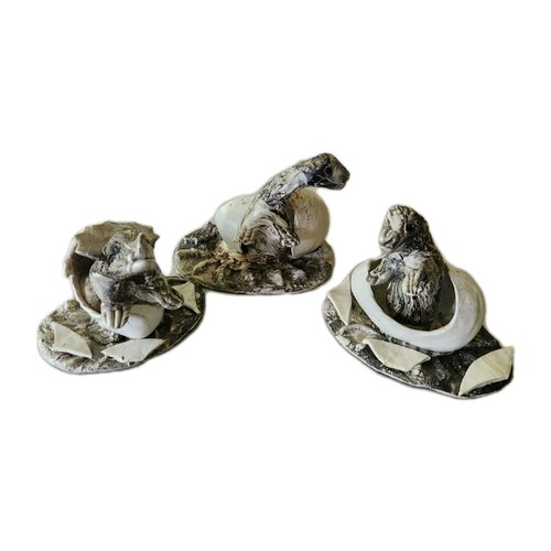 Newborn dinosaur dino - newborn,
