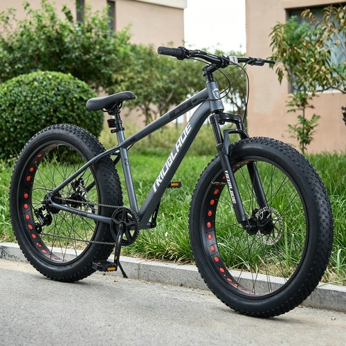Inch mountain bike fat - inch, tire