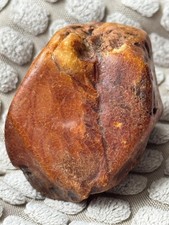Rare Baltic Amber Rough Cognac