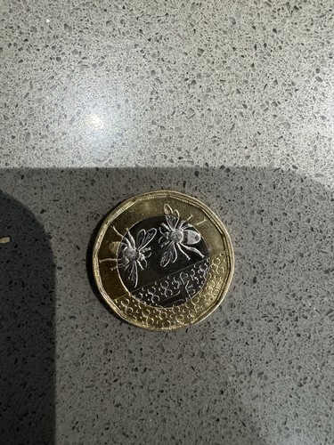 Rare 2025 king charles - 2025, iii