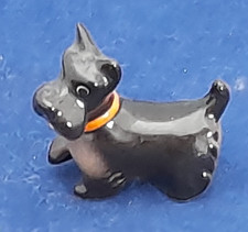 Scottish Terrier Dog