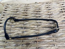 Arab-Miniature Horse In Hand