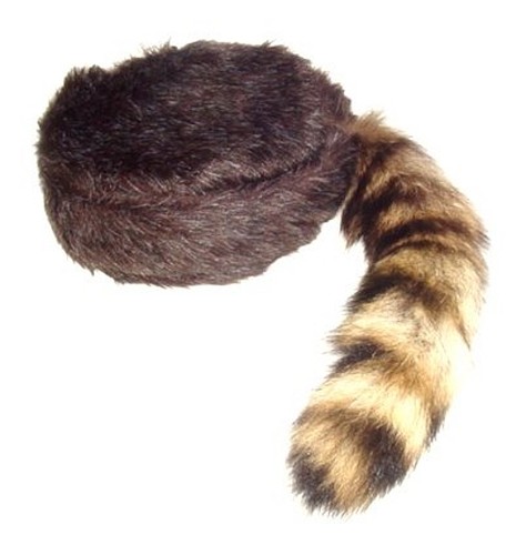 Davey crockett coonskin cap - davey,