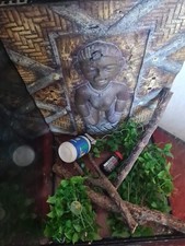 gecko tank grey/ black