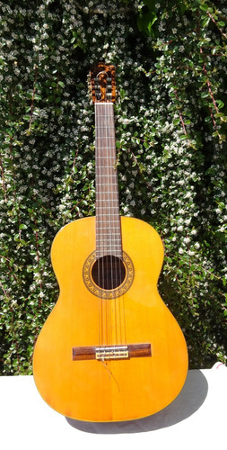 Guitar marlin 315 - marlin, mc