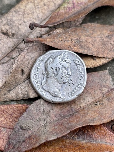 Hadrian denarius silver - hadrian, –