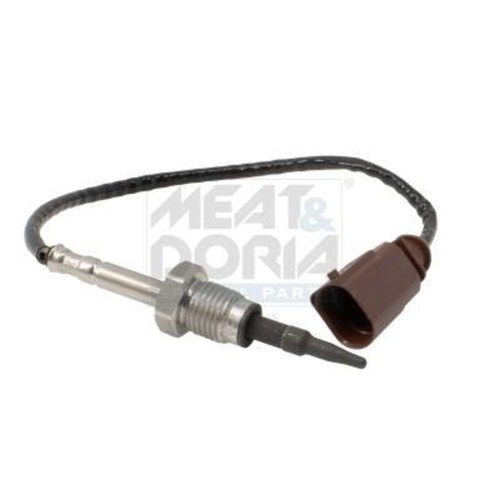 Exhaust gas temperature - gas, sensor