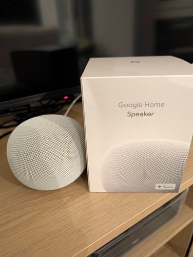 Google home speaker - google,